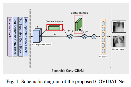 Pay Attention for COVID-19 Detection Using Efficient Convolution thumbnail